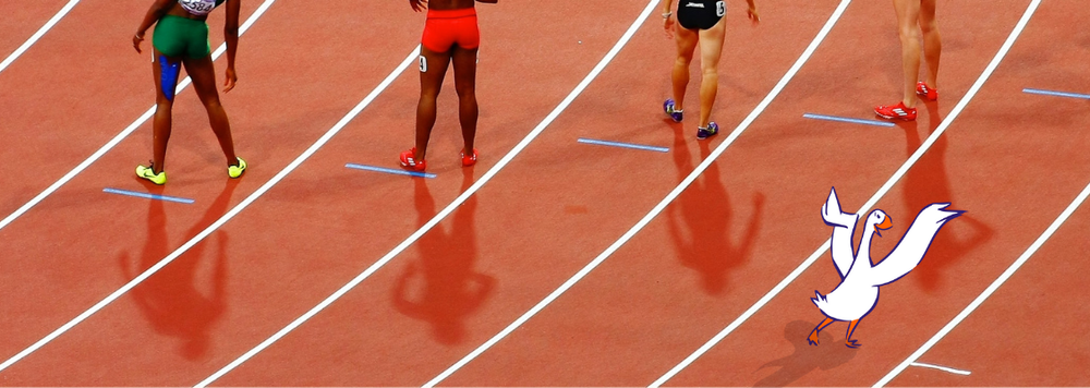 a goose getting ready to compete in the 100m sprint