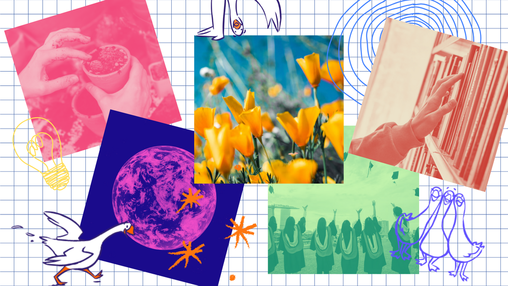 Goosechase EDU Game Library Collage