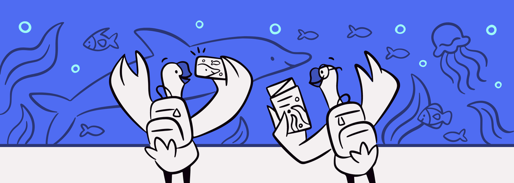 A pair of goslings admiring dolphins and jellyfish in an aquarium