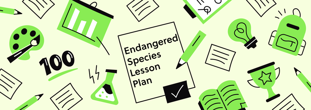 A collage of school-related items like tests, beakers, backpacks, and pencils