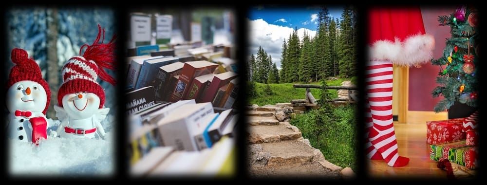 collage of photos (snowmen, forest, books, christmas treee)