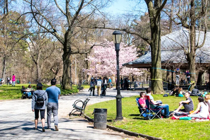 PARK SLOPE TOWNHOUSE GUIDE 2026 Width, Location & Value — Everything You Need to Know By Laurie Savino