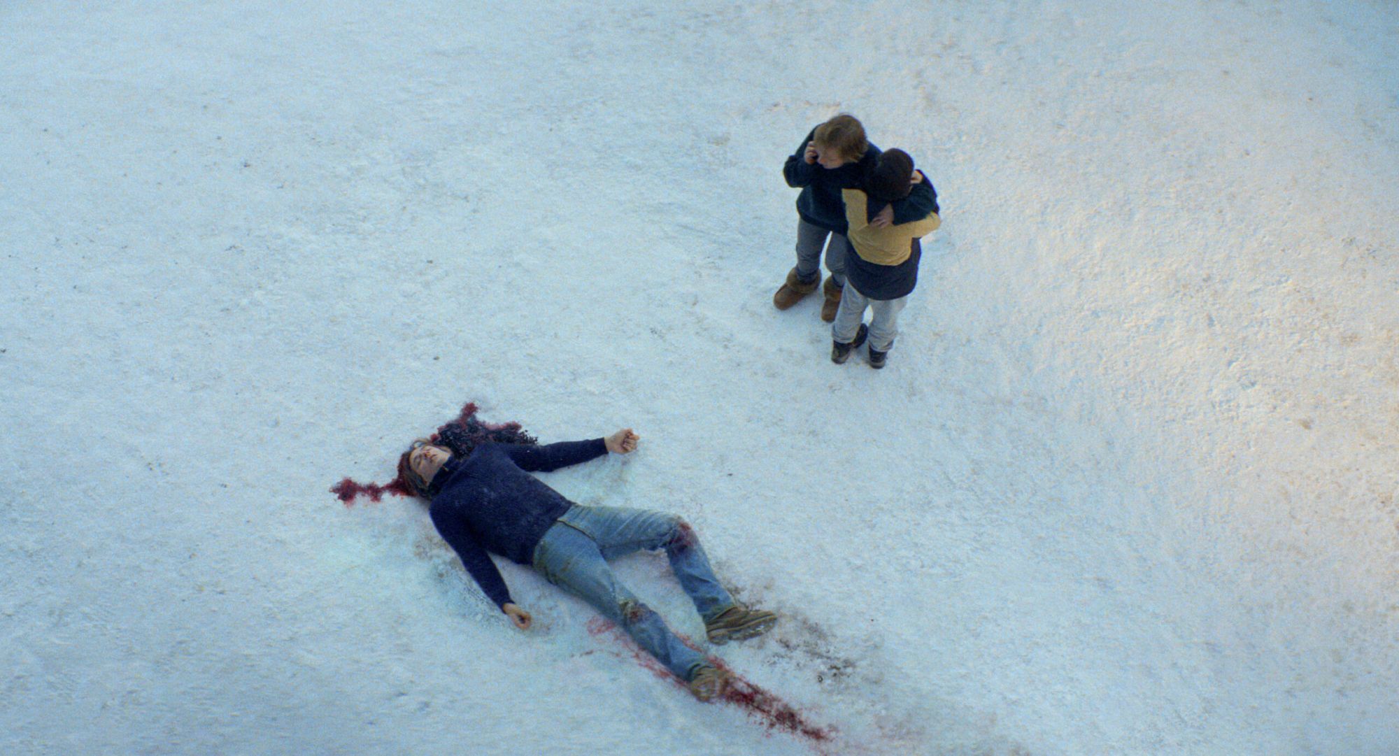 Justine Triet's "Anatomy of a Fall"