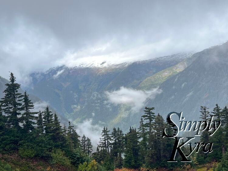 Image shows trees in the foreground with the snow capped mountains in the background.
