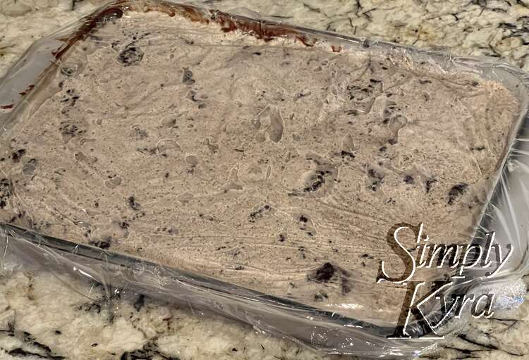 With the top layer on I covered it up with plastic wrap and put it back in the freezer for Zoey to decorate. 