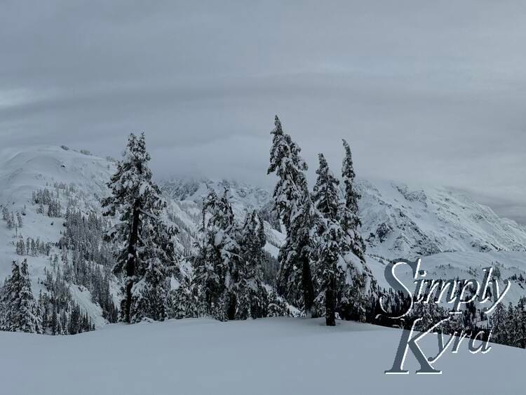 Snowy hill in the foreground, trees in the middle range, and mountains in the background.