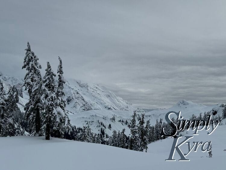 Snowy hill in the foreground, trees in the middle range, and mountains in the background.