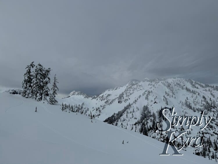 Snowy hill in the foreground, trees in the middle range, and mountains in the background.