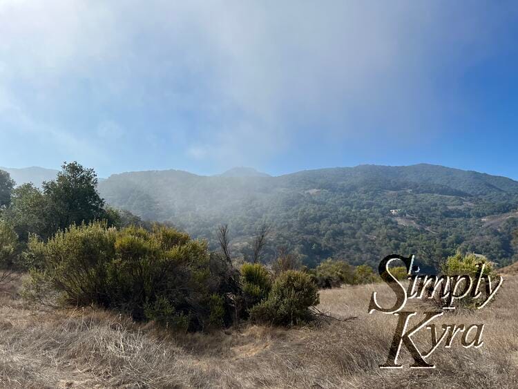 The dust from the path was kicked up while we walked.