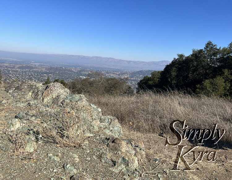 Love the colors in the rock with the trees and city in the background.