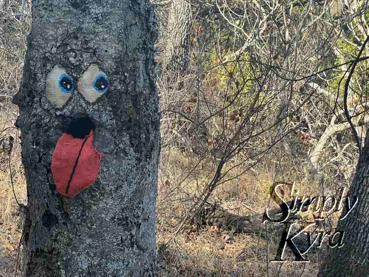 Someone yarn bombed an awesome face on this tree which was a welcome break in the walk.
