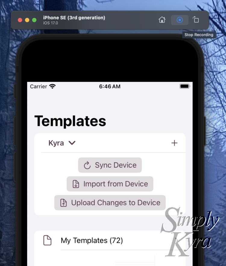 The Stop Recording button is highlighted in the upper right corner to show the overlay text. 