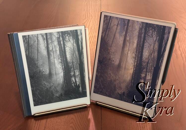 Image shows the reMarkable 2 on the left and reMarkable Paper Pro on the right. Both have the same sleep screen image set.