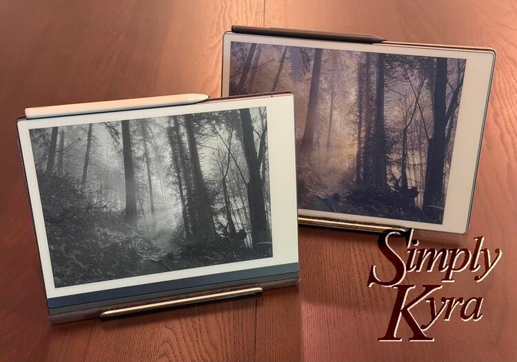 Image shows the reMarkable 2 on the left and reMarkable Paper Pro on the right. Both have the same sleep screen image set.