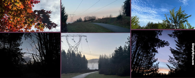 Collage of six gorgeous landscapes. The center ones have power lines in it.