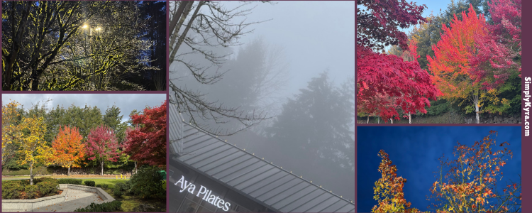 Collage of five gorgeous landscapes. The center one shows the Aya sign surrounded by trees and fog.