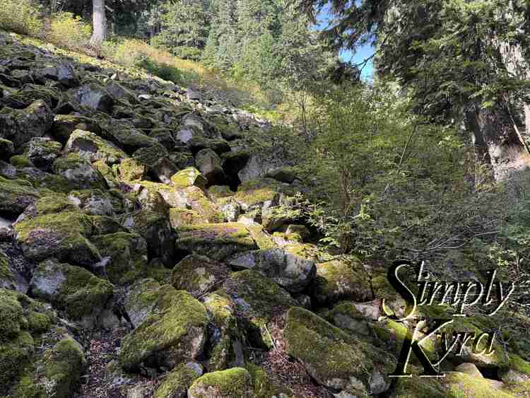 Mossy rocks.