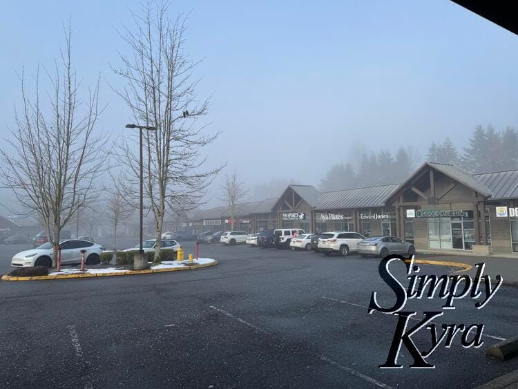 View of Aya and surrounding stores with snow around the trees.