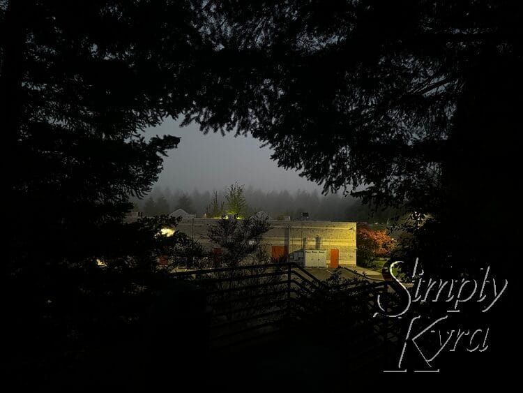 View from the top of the stairs behind the QFC on the way to Aya. Photo taken in the dark.