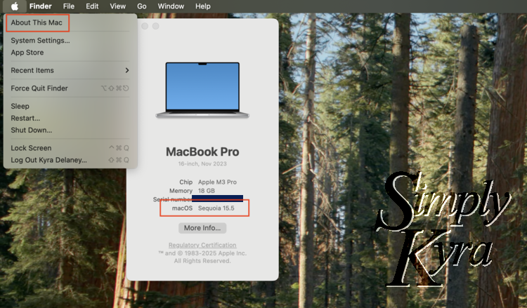 Screenshot of my computer showing the open apple menu, dropdown, and computer information. 