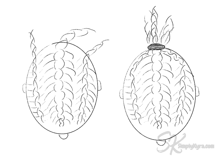 Image shows the braids and the ponytail.