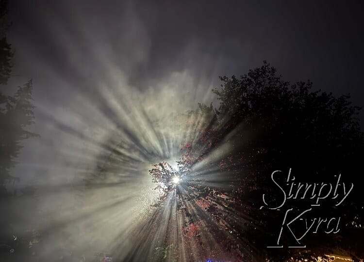 Awesome look at the streetlight through a tree, rain, and fog.