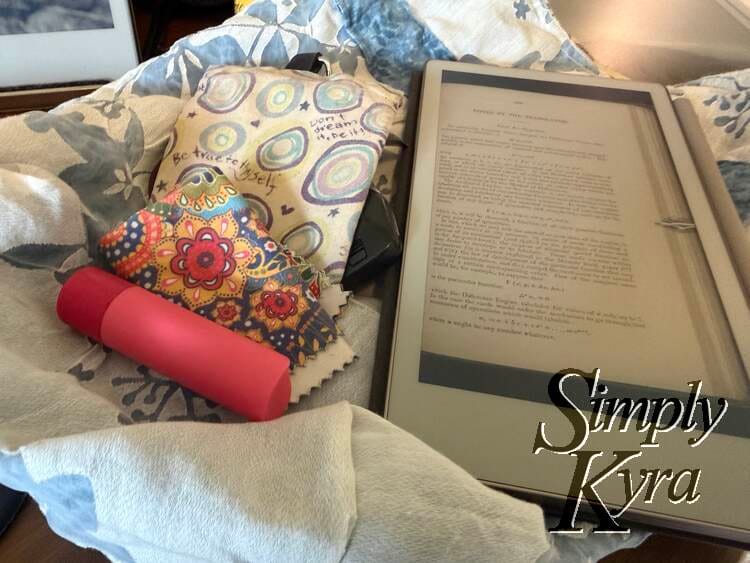 Here you can see the sleep screen image and the pouch I used as the purse.