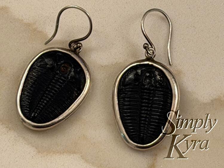 Close up of a pair of silver edged fossils on hook earring ends. 