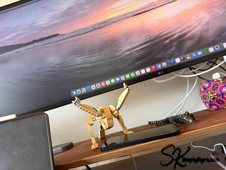 My desk has a Rocky cheering me on. Please ignore the lack of ball around him. 