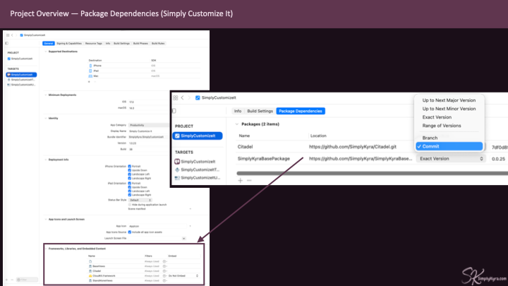 Shows Project Overview with the package dependencies. 