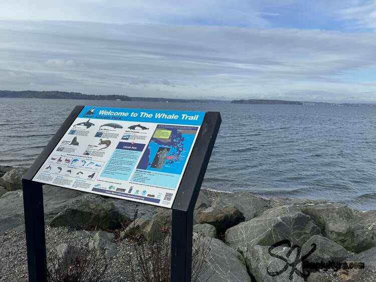 View of the water, rocks, and the sign. 