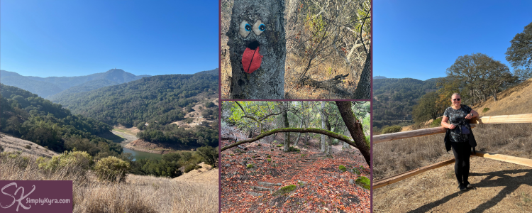 Collage of the view on the hike. Two of landscapes, one of knit-bombed face on tree, and far right of me standing leaning against the fence.