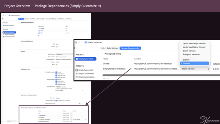 Shows Project Overview with the package dependencies. 