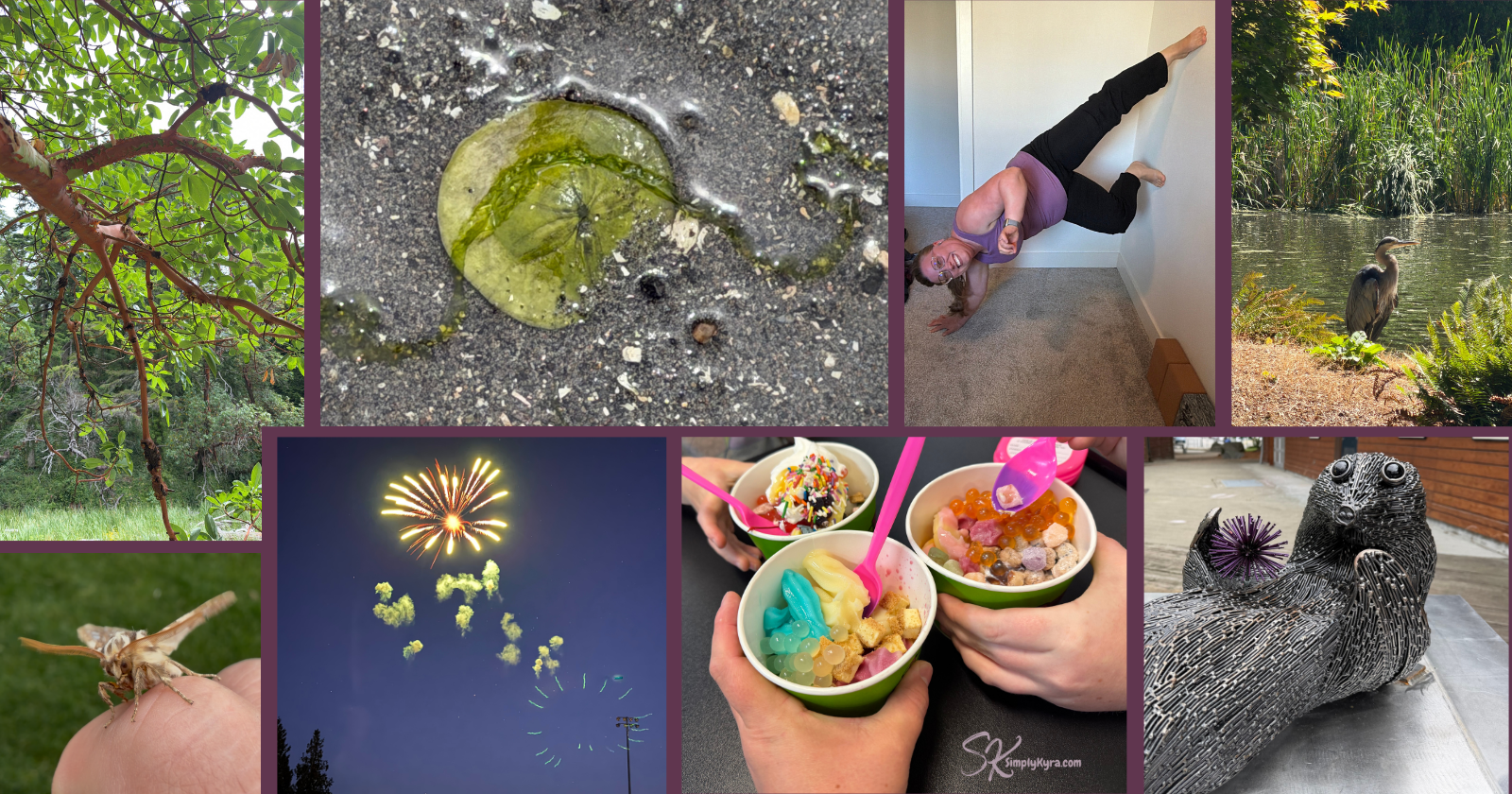 Collage of eight images: tree, sand dollar at the beach, me in Spiderman pose, heron, moth, fireworks, frozen yogurt cheers, and otter sculpture.
