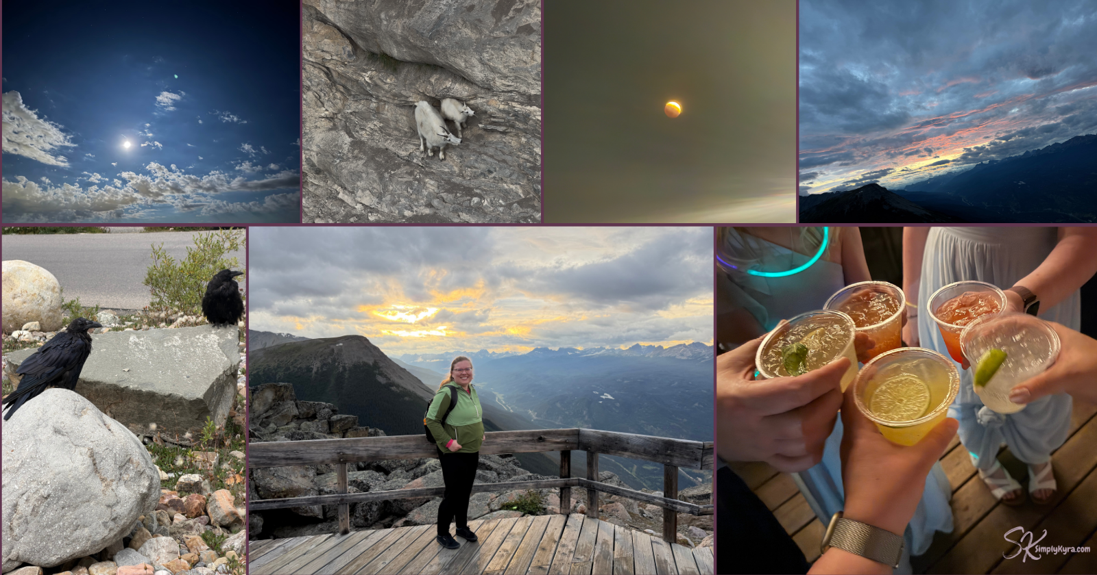 Collage showing the (top row) night sky, two mountain goats, partial lunar eclipse, sunset in the mountains, (bottom row) two ravens in a parking lot, me at sunset in the mountains, and cheers with my sister at her wedding.