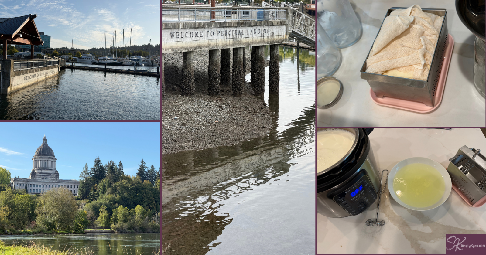 Collage showing downtown Olympia (three) and tofu press with yogurt (two).