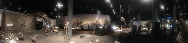 Don't forget all the fossils.