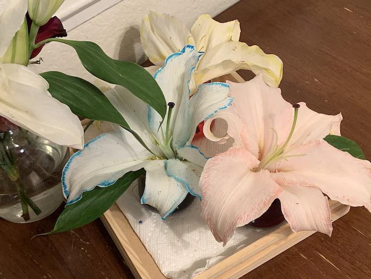 One day later and and I love their color.