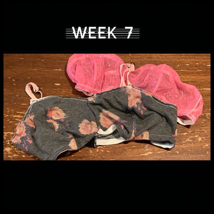 Image shows a single image surrounded by a black border. Above and below the image the black is taller. Above the image it says "week 7". The image is of two bralettes.