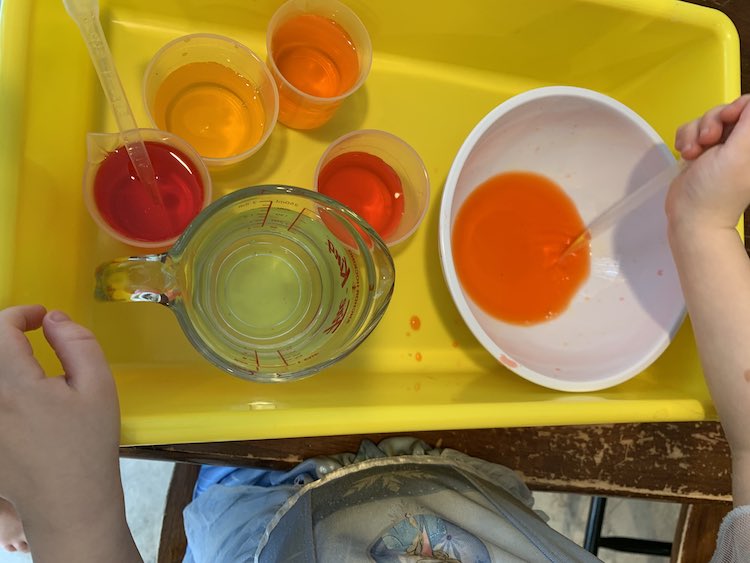 Over view of the yellow sensory bin holding the, previously, empty white bowl, clear water, and four cups of food dye. Zoey is currently squeezing dye into the white bowl making a pool of orange at the bottom.
