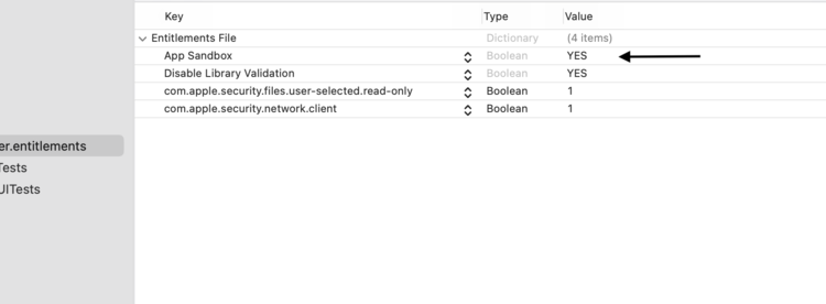 The image shows the end of my selected entitlements file in the Navigator area to the left. On the right there is a table showing the keys, types, and value of several settings under an "Entitlements File" header.
