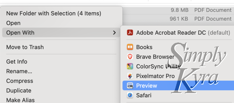 Image shows the popup menu with the Preview option selected.