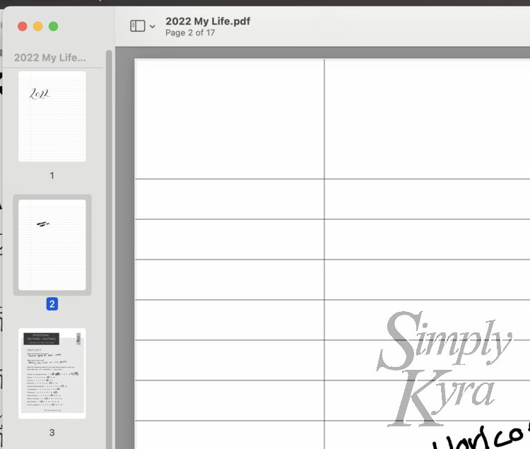 Image shows the preview window with three of the 17 thumbnails showing on the left and a lined page on the right.