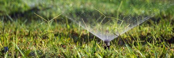 Emergency Water Restrictions
