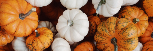 October Cheney Overview