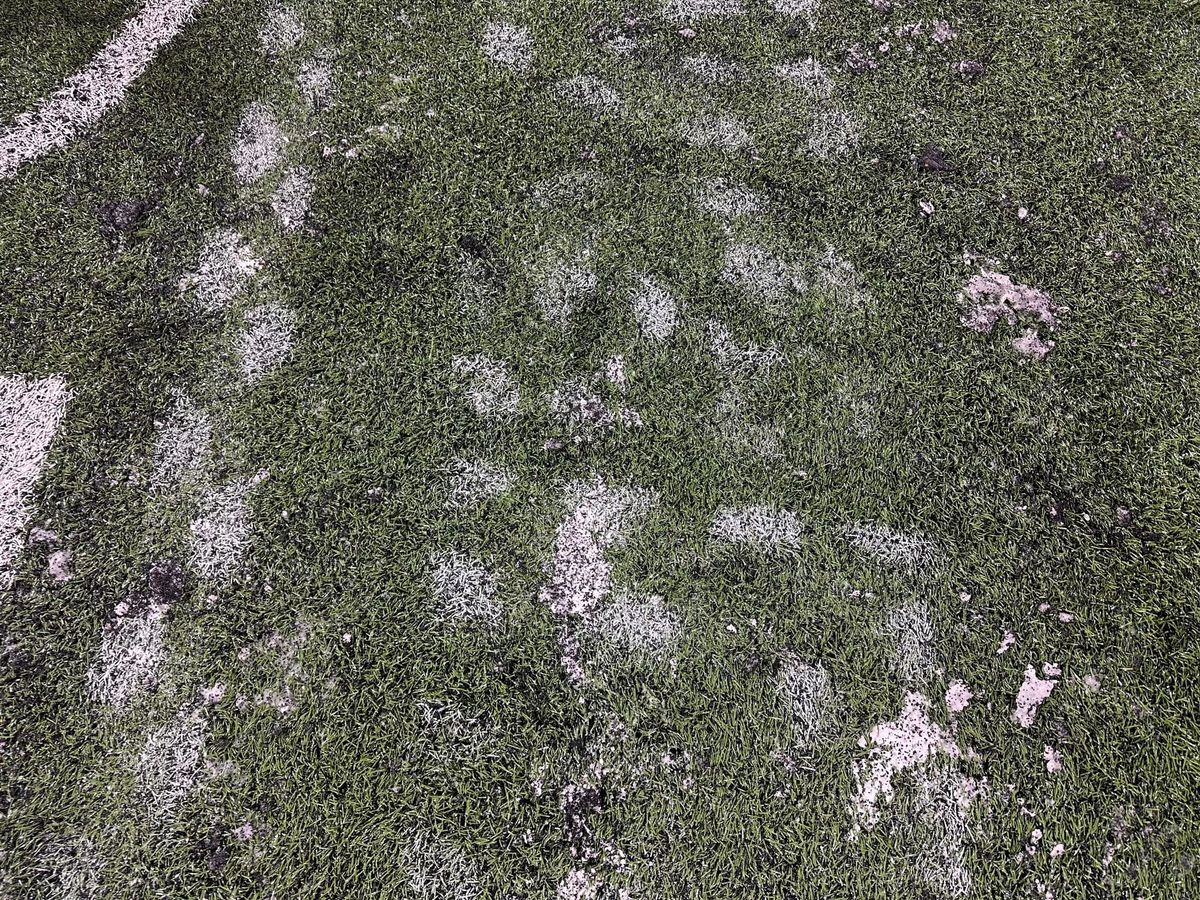 From The Field - Northwestern