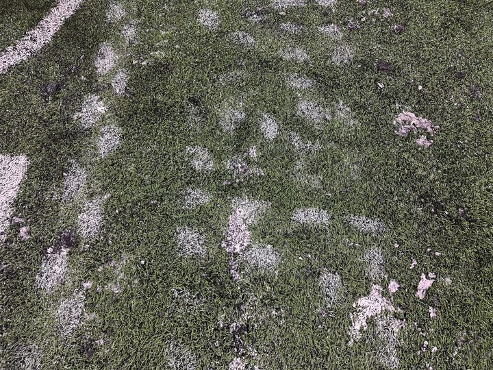 From The Field - Northwestern