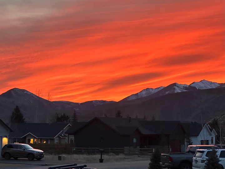 Up To Speed - February 4th, 2026