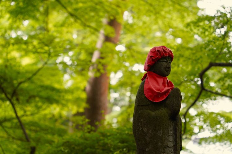 日本東北，九天八夜行程概略