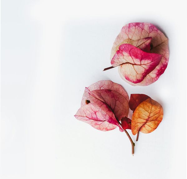 The Illusion of Ownership